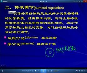 生理学视频,揭秘人体奥秘之旅