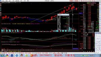 股票学习视频教程,视频课程精华概述