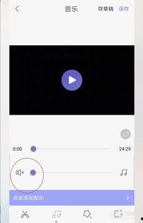 手机软件去掉视频声音,探索无音视频的视觉魅力