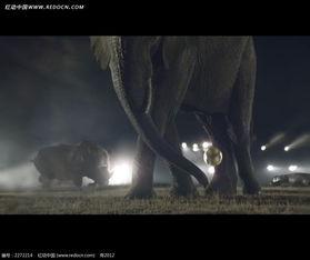 大象视频免费,免费畅享,探索无限精彩