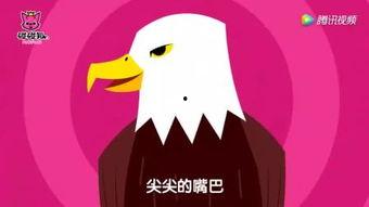 捉老鹰的方法视频,传统捉老鹰技巧全解析