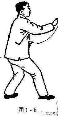 捉老鹰的方法视频,传统捉老鹰技巧全解析