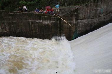 水库泄洪捕鱼视频,惊心动魄的鱼群盛宴