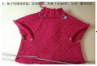 宠物毛衣编织教程视频,轻松打造萌宠保暖新装